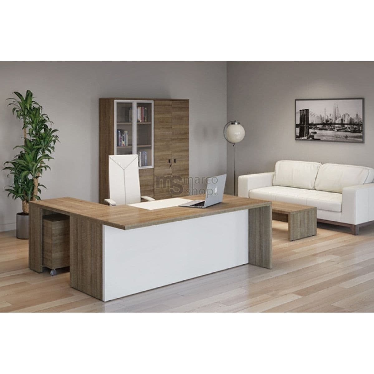 Birou managerial Terra